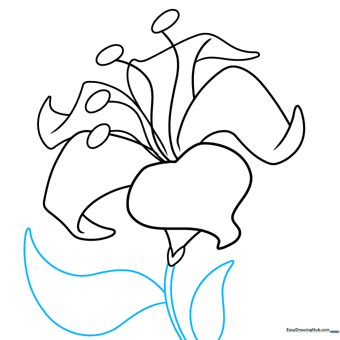 Adding a stem and two leaves to the flower drawing.