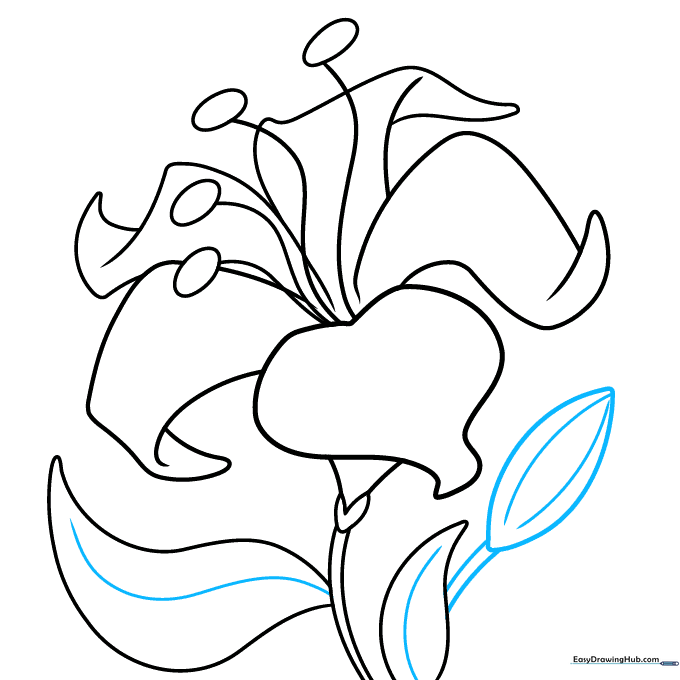 Adding leaf veins and a small flower bud to the drawing.