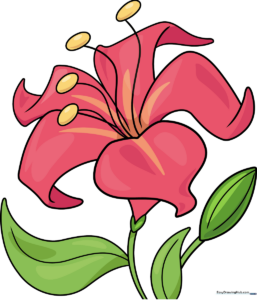A finished, colorful drawing of a beautiful flower with leaves and a bud.