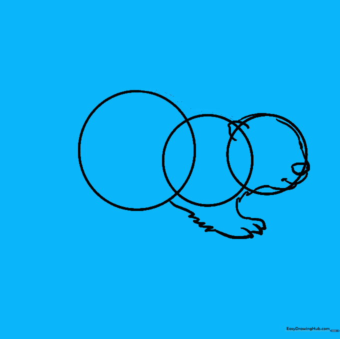 The beaver's back is connected with a smooth, continuous curved line.