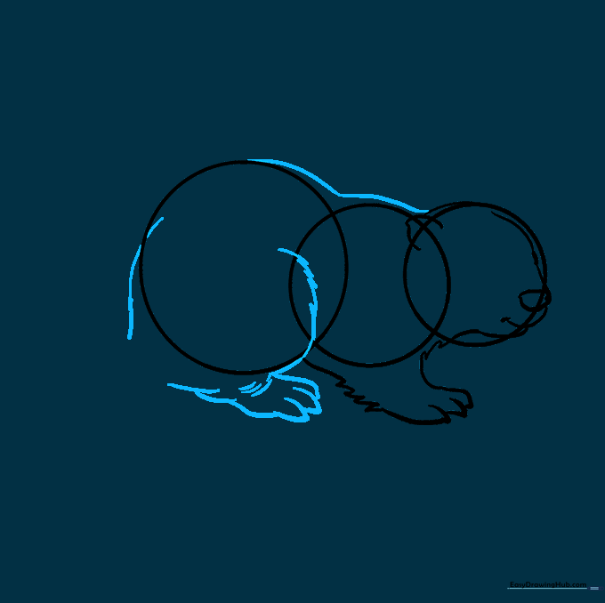 Drawing the beaver's rear leg with fur texture and a bent foot structure.
