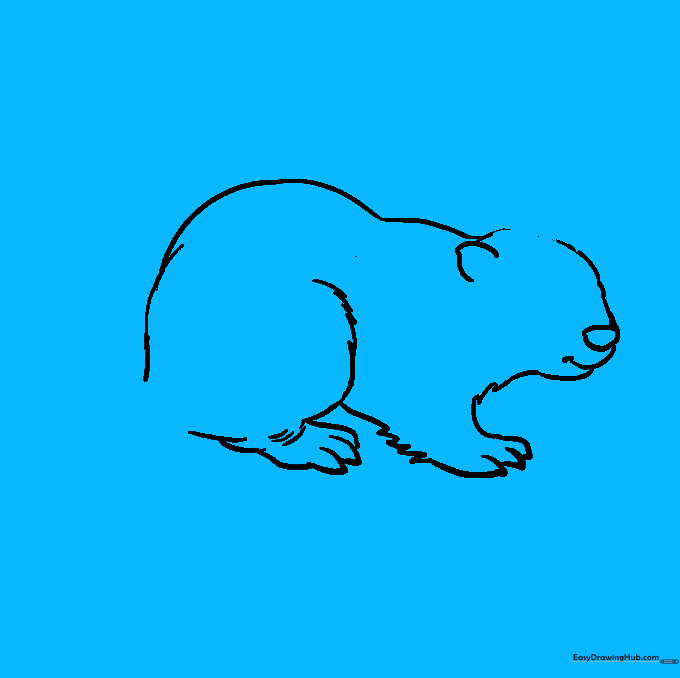 The beaver outline after erasing the initial construction circles.