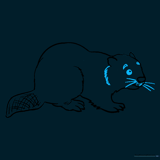 Detailed facial features including the eye, eyebrow, and long whiskers.