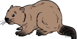 A friendly, finished beaver illustration, perfect for kids' art projects.