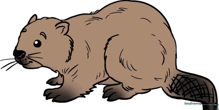 A friendly, finished beaver illustration, perfect for kids' art projects.