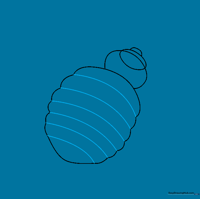 Curved lines drawn across the abdomen to represent the segmented shell of the bed bug.