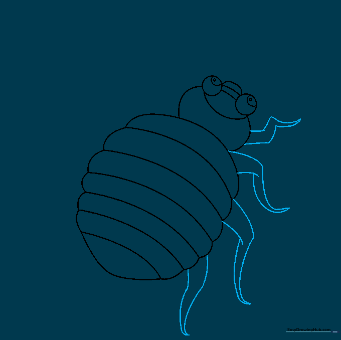 The first set of segmented legs drawn on one side of the bed bug's body.