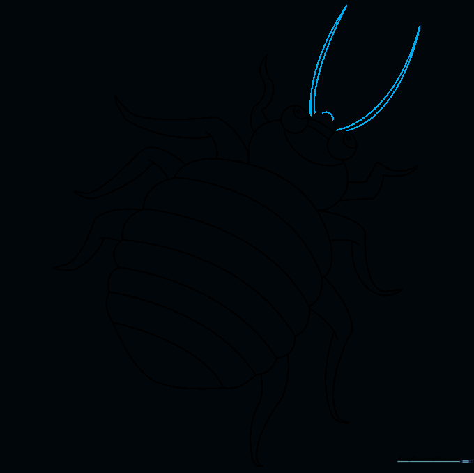 Long antennae and a small mouth detail added to the head of the bed bug.