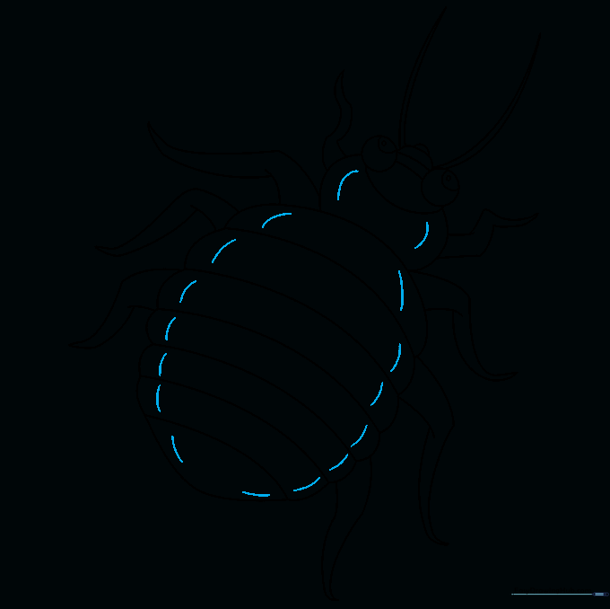 Small texture lines added to the edges of the bed bug's body to finish the outline.