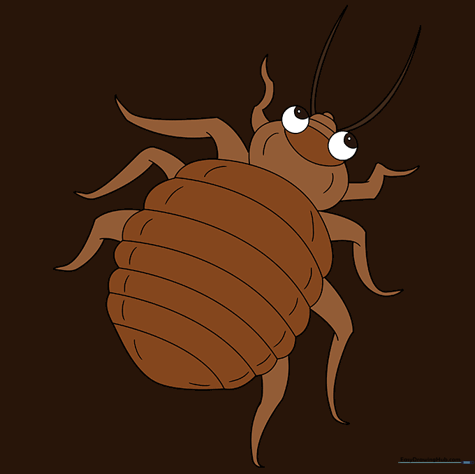 A fully colored cartoon bed bug in shades of reddish-brown.