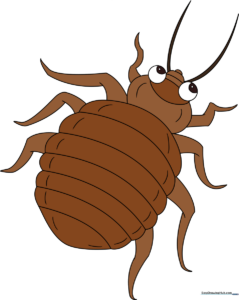 A finished, colorful cartoon bed bug illustration, perfect for kids' art projects.