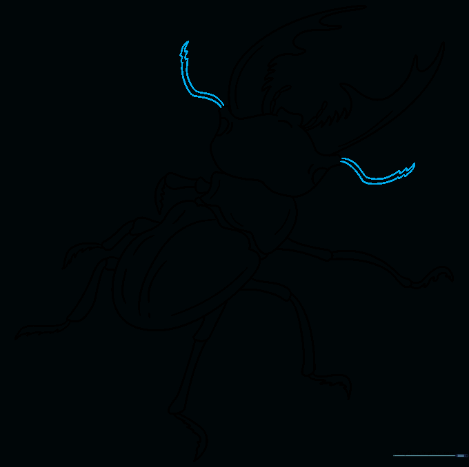 Adding long, textured antennae to the beetle's head.