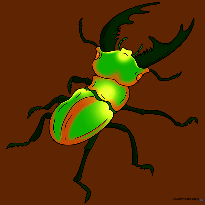 Finished, colored beetle drawing with shiny highlights.