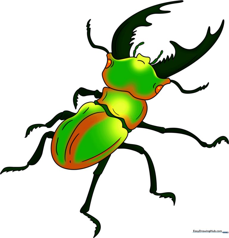 A completed, vibrant illustration of a stag beetle.