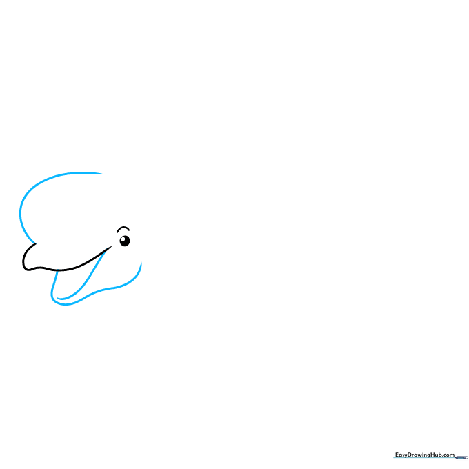 Drawing the rounded forehead and lower jaw structure of the beluga whale.