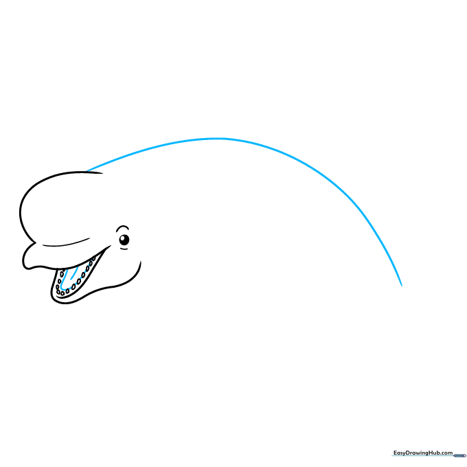 Drawing the long, curved back line of the beluga whale.