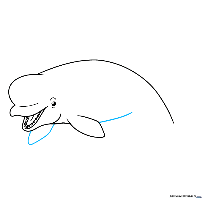 Drawing the belly line and the second, partially hidden flipper.
