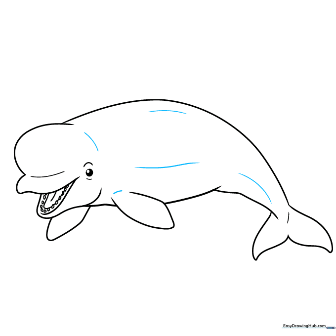 Refining the final outline of the beluga whale with clean, bold lines.