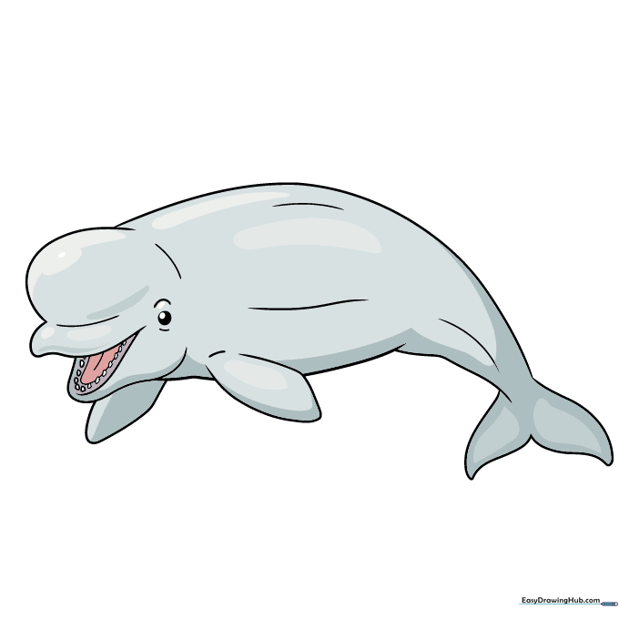 A fully colored, cartoon-style beluga whale with soft shading and a pink tongue.
