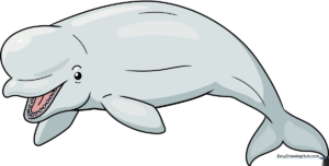 A friendly, finished cartoon beluga whale illustration, perfect for kids' art projects.