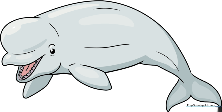A friendly, finished cartoon beluga whale illustration, perfect for kids' art projects.