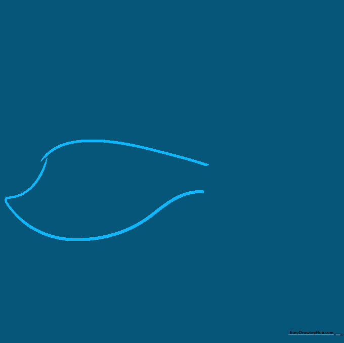 Pencil sketch showing the basic curved body outline of a Betta fish.