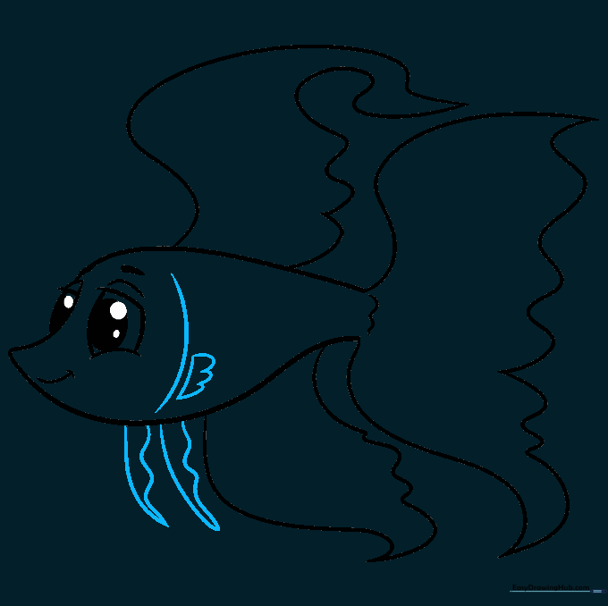 Adding gill details and smaller pectoral and pelvic fins.