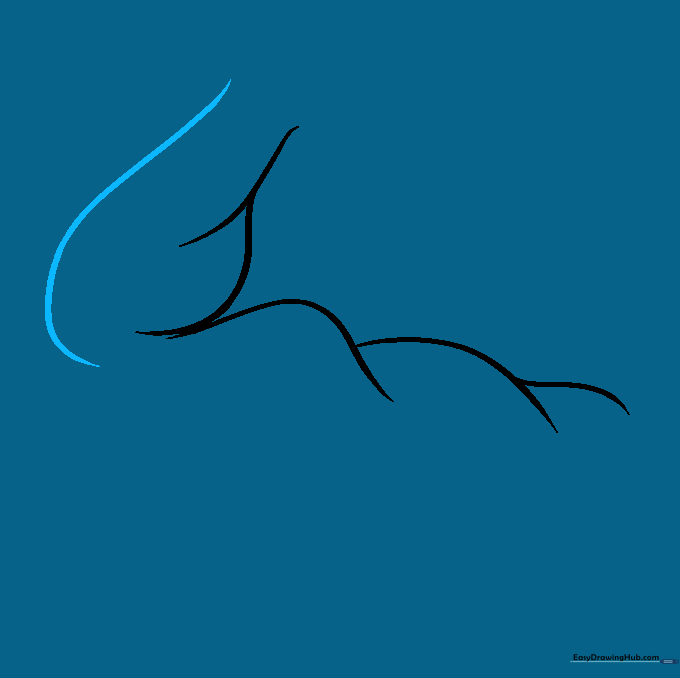 Drawing showing a long curved line defining the back of the forearm.