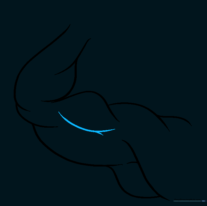 Drawing showing a detail line across the biceps to add muscle definition.