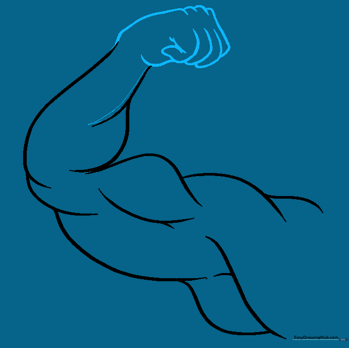 Drawing showing the construction of a clenched fist with knuckle and finger details.