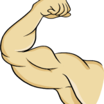 A vibrant, finished illustration of a muscular arm flexing, showcasing clear lines and shading.
