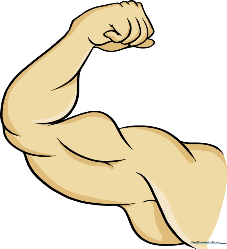 A vibrant, finished illustration of a muscular arm flexing, showcasing clear lines and shading.