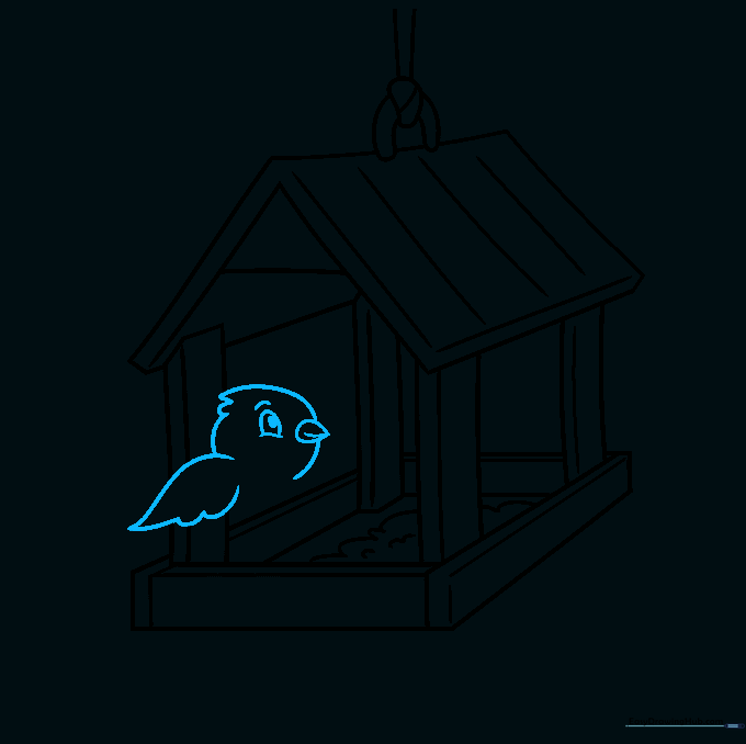 Sketching the head, beak, and wing of a small bird perched on the feeder.
