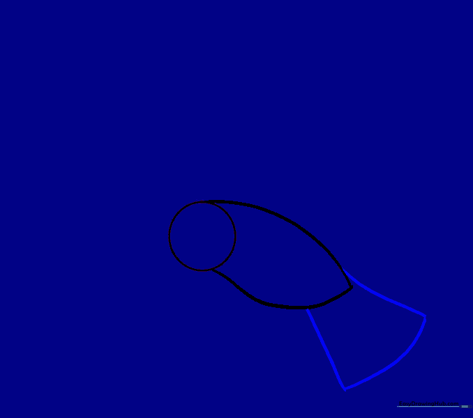 Drawing a fan-shaped tail extending from the back of the bird's body.
