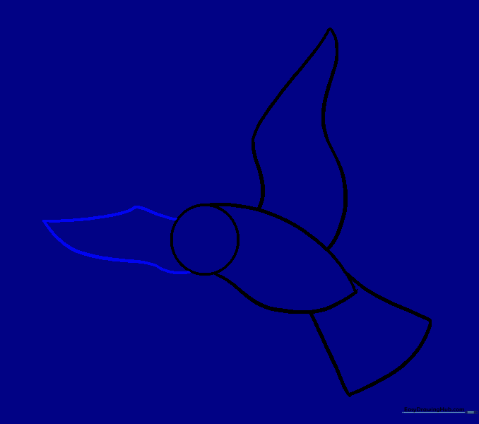 Drawing a second wing visible near the head to create perspective.