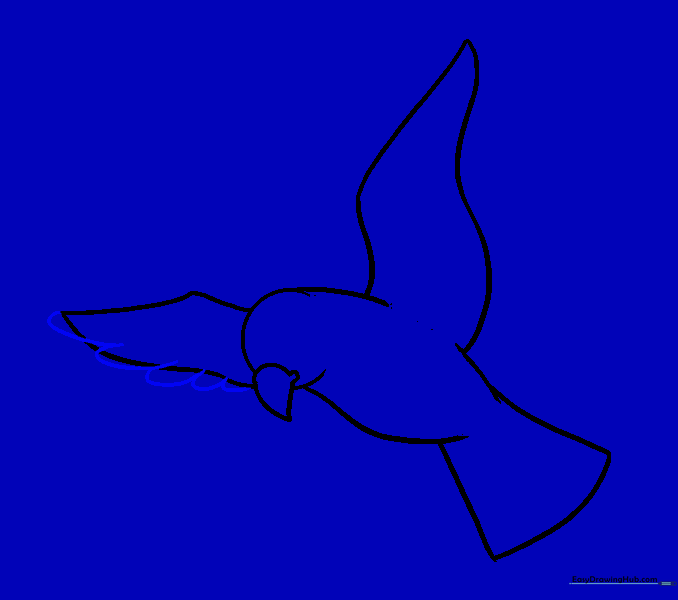 Drawing U-shaped feather patterns on the wing.
