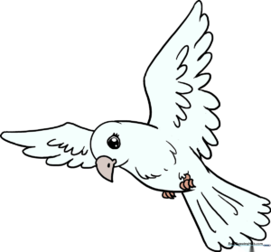 A colorful, finished drawing of a bird, showcasing the final result of the tutorial.
