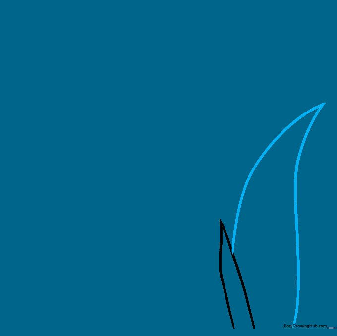 Drawing a second, larger pointed leaf shape overlapping the base bract.