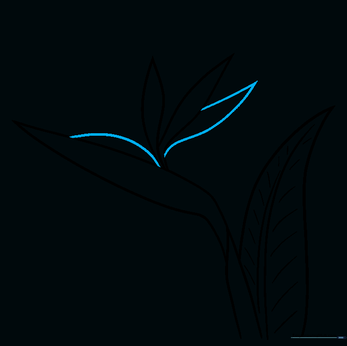 Adding additional layered sepals to build complexity in the flower head.