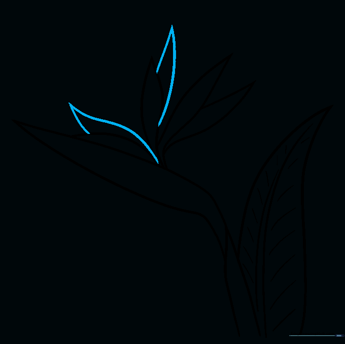 Adding the final set of sepals to complete the flower cluster.