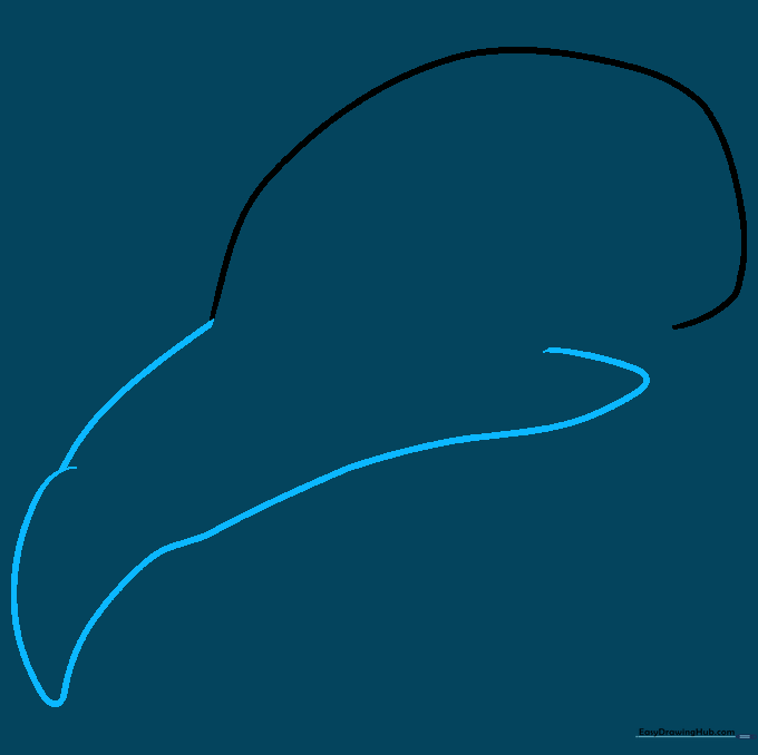Line drawing showing the addition of the upper beak structure extending from the cranium.
