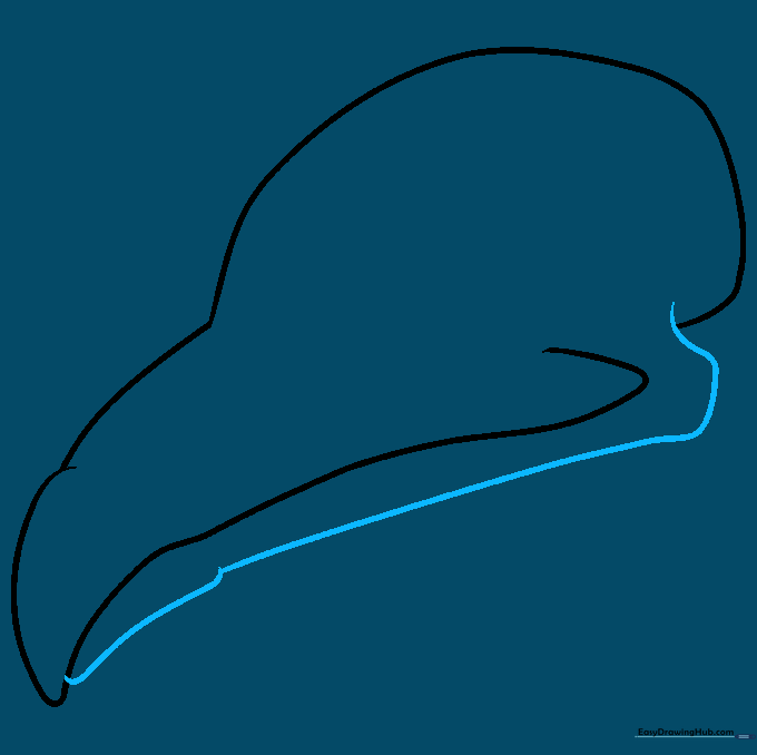 Drawing showing the lower jaw line added to the bird skull structure.