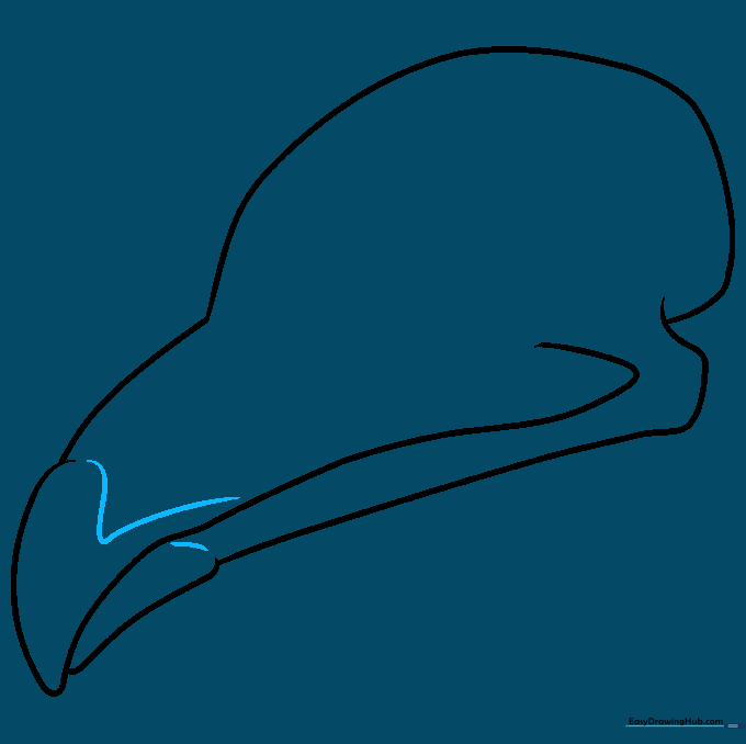 Detailed view of the beak with V-shaped lines added for anatomical accuracy.