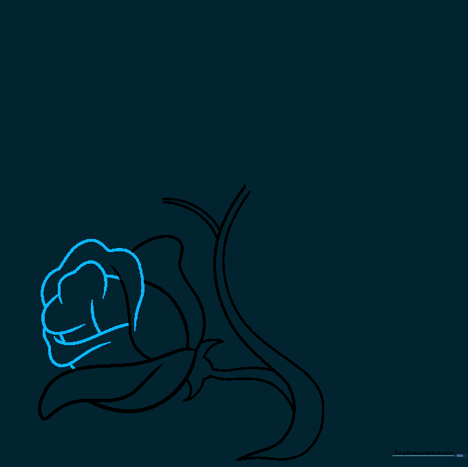 Detailed sketch of a rosebud showing overlapping petal layers.