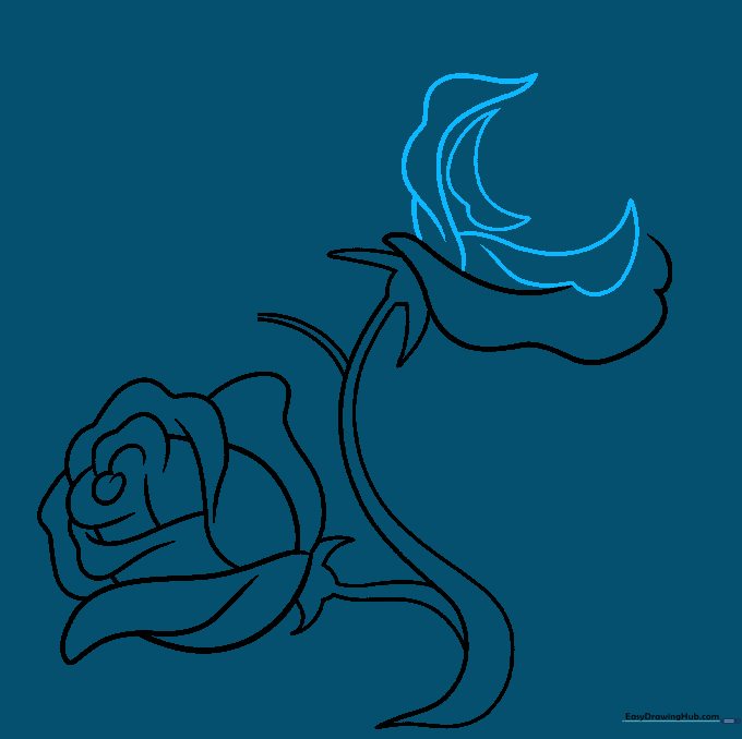 Sketching additional petals on the second rose using folded line techniques.