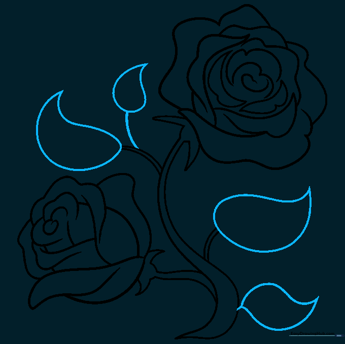 Adding teardrop-shaped leaves to the rose stem and twigs.