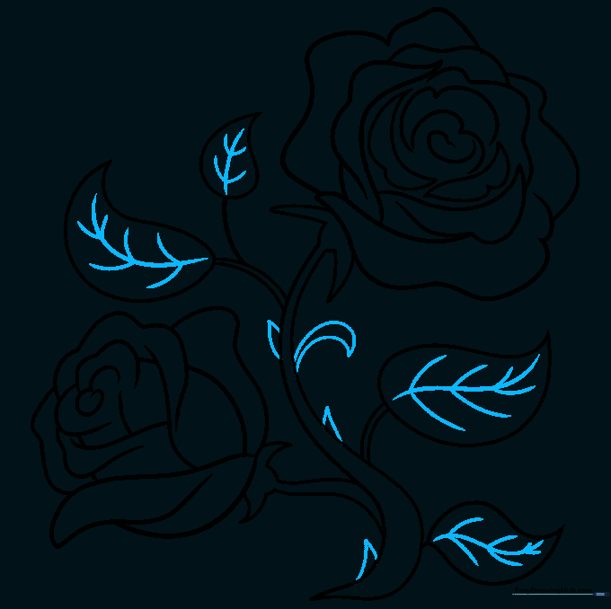 Finalizing the drawing with leaf veins and small triangular thorns on the stem.