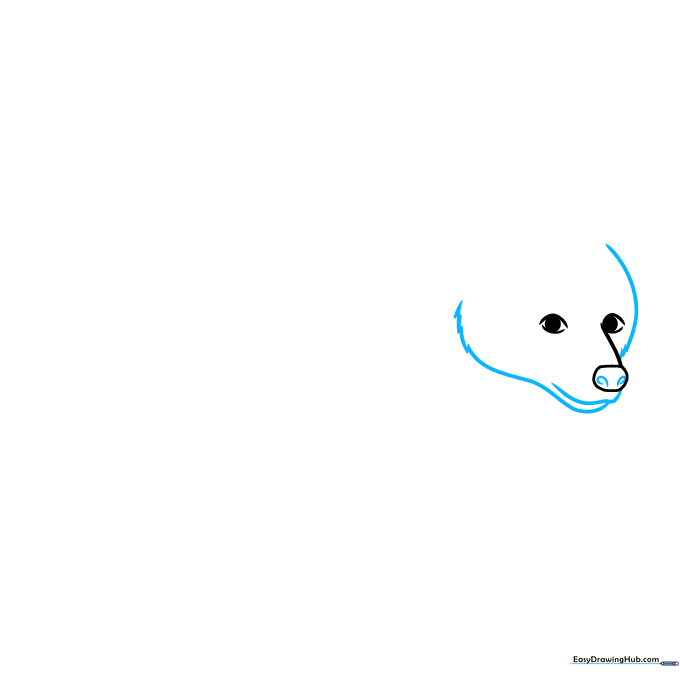 Drawing the bear's muzzle and jawline with fur-like texture.
