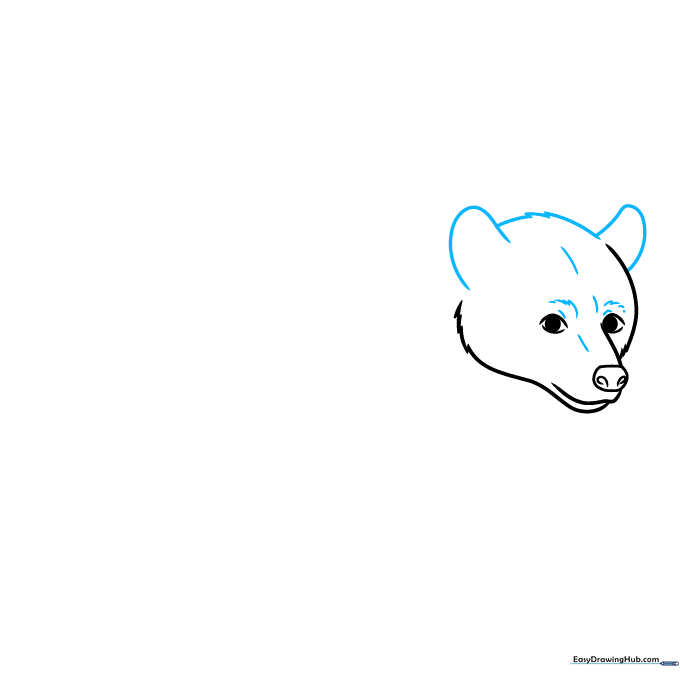 Adding rounded ears to the top of the bear's head.