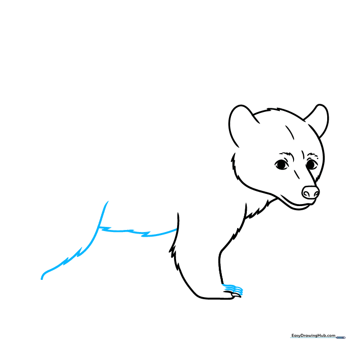 Adding the bear's belly and rear leg silhouette.